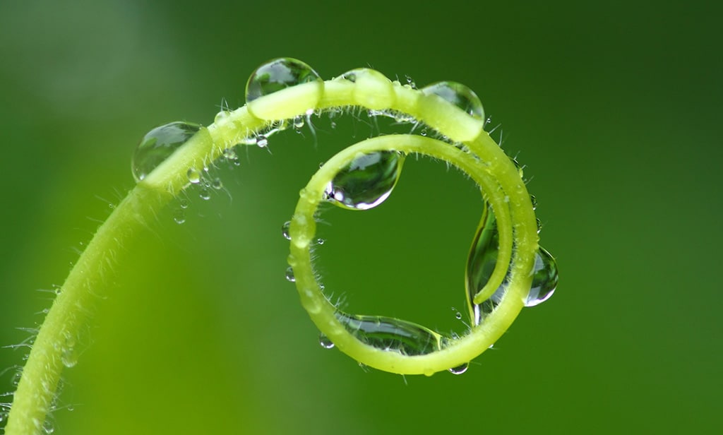 Corona andere Sichtweise