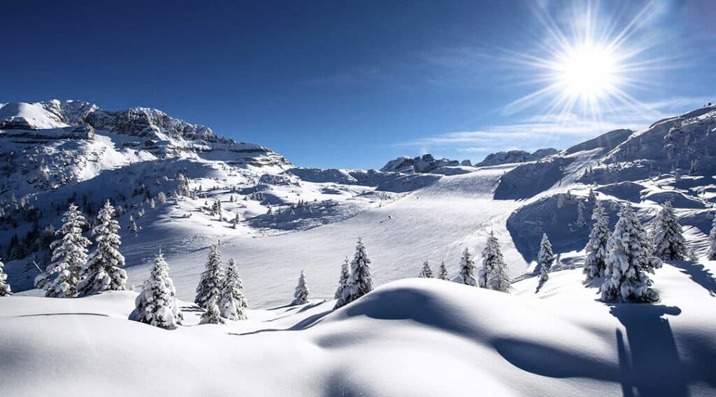Schnee