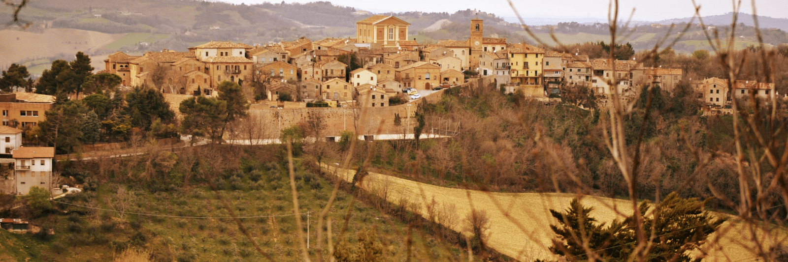 Le Marche